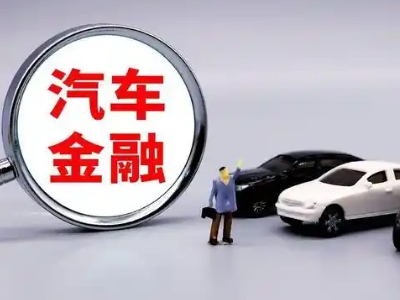 会东押车贷款不是本人可以么?